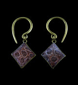 Diamond Fossilized Coral Brass Hangers