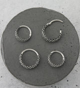 Double Scales Hinged Segment Ring