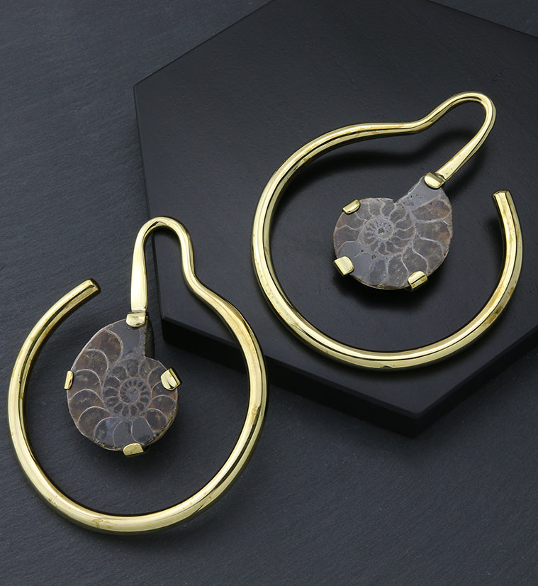 Drop Ammonite Fossil Hoop Ear Weights