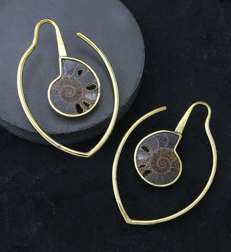 Drop Ammonite Fossil Teardrop Hoop Ear Weights