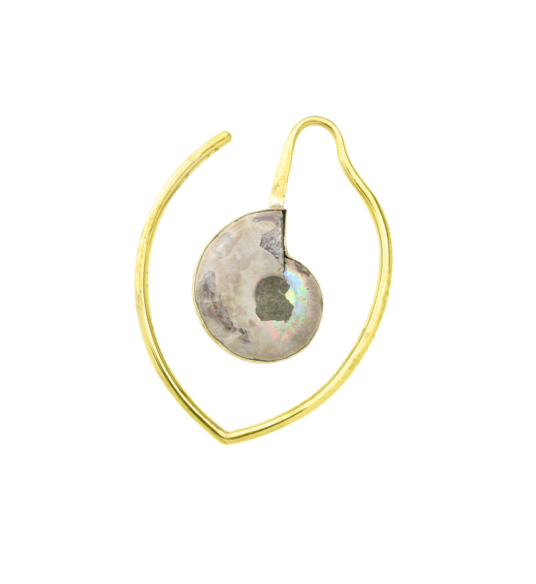 Drop Ammonite Fossil Teardrop Hoop Ear Weights