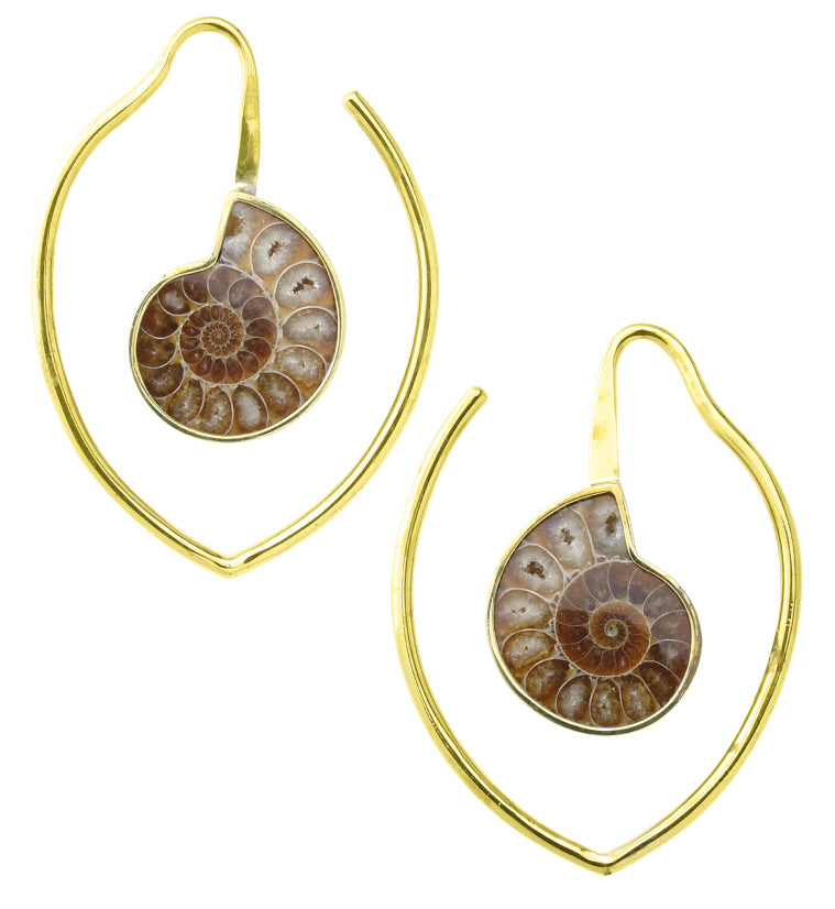 Drop Ammonite Fossil Teardrop Hoop Ear Weights