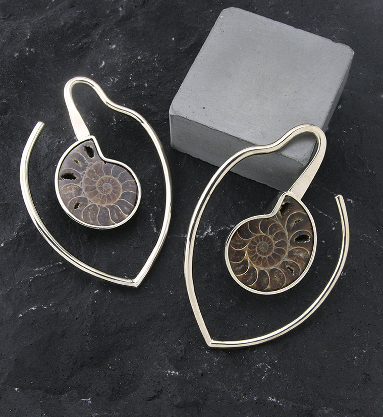 Drop Ammonite Fossil Teardrop Hoop White Brass Ear Weights