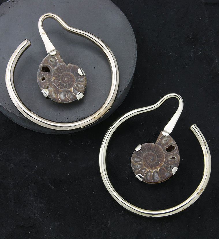 Drop Ammonite Fossil White Brass Hoop Ear Weights