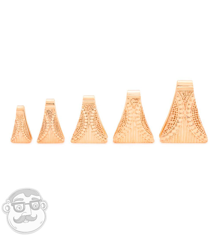 Flume Brass Ear Weights