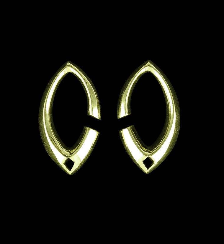 Elliptic Brass Ear Weights