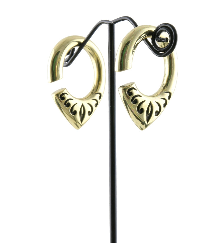 Fleck Brass Ear Weights