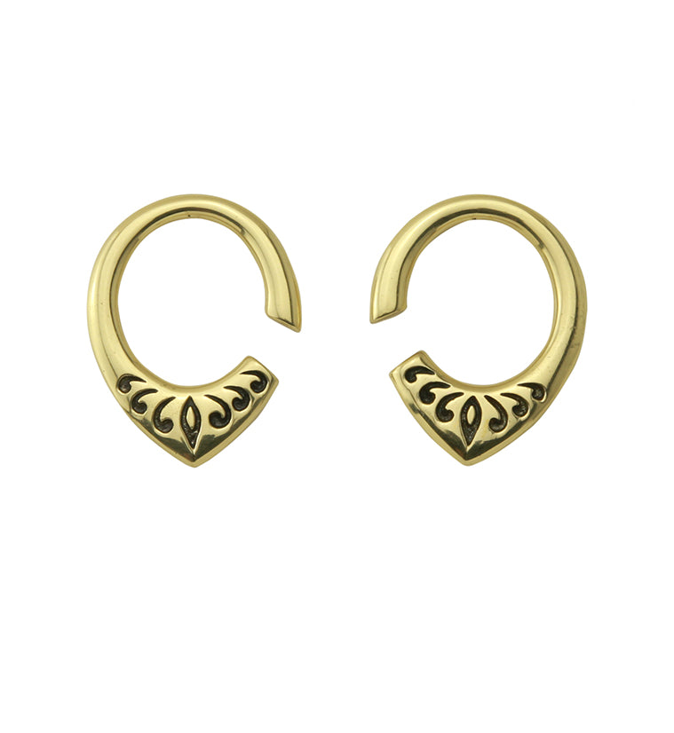 Fleck Brass Ear Weights