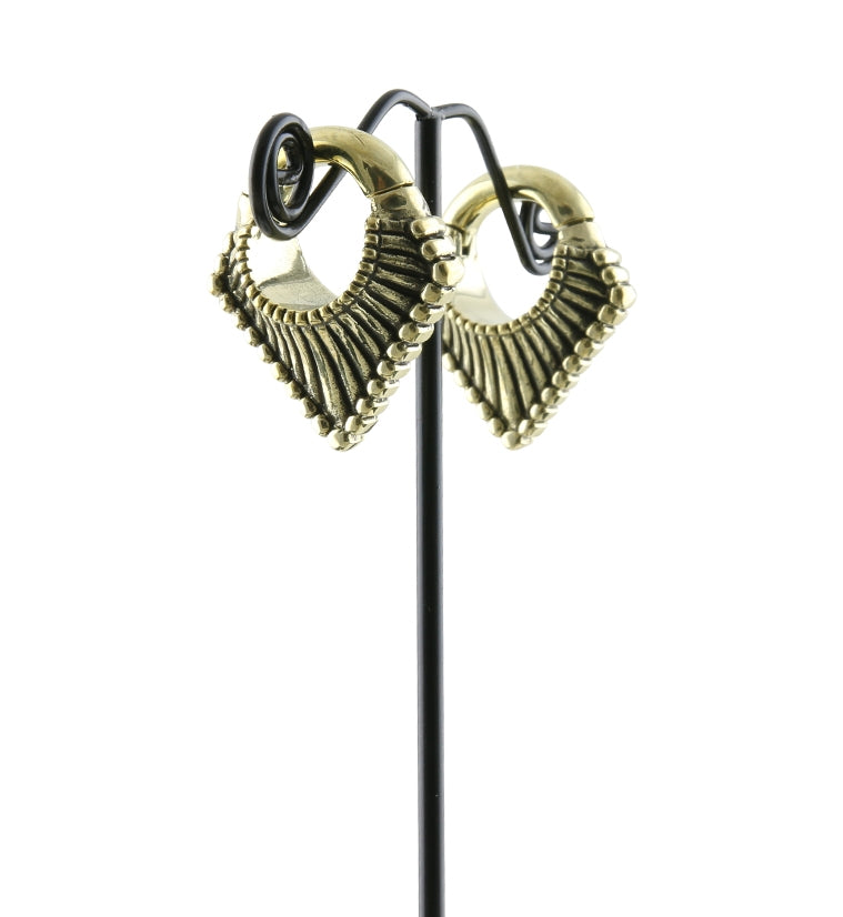 Flection Hinged Ear Weights