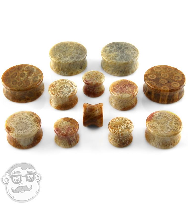 Indonesian Fossilized Coral Plugs