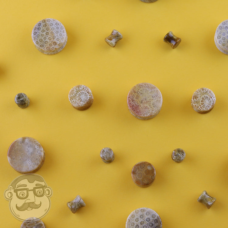 Indonesian Fossilized Coral Plugs