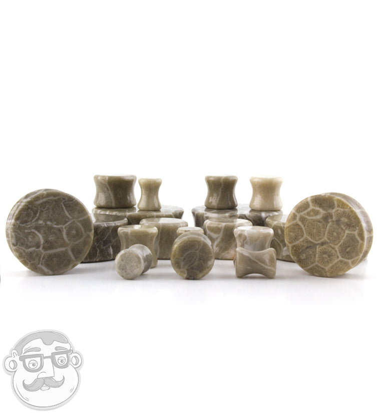 Fossilized Coral Plugs