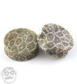 Fossilized Coral Plugs