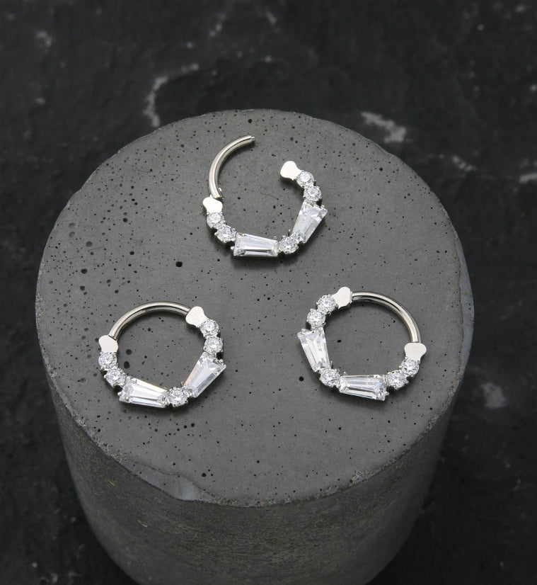 Frost CZ Titanium Hinged Segment Ring