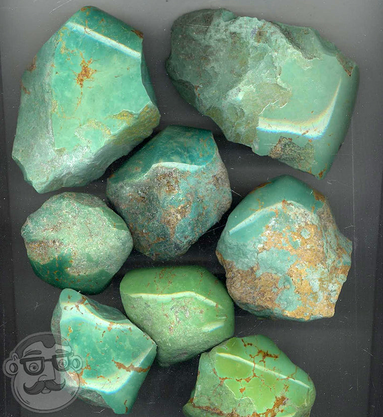 Genuine Green Turquoise Stone Plugs