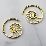 Gold PVD Ammonite Ear Weights