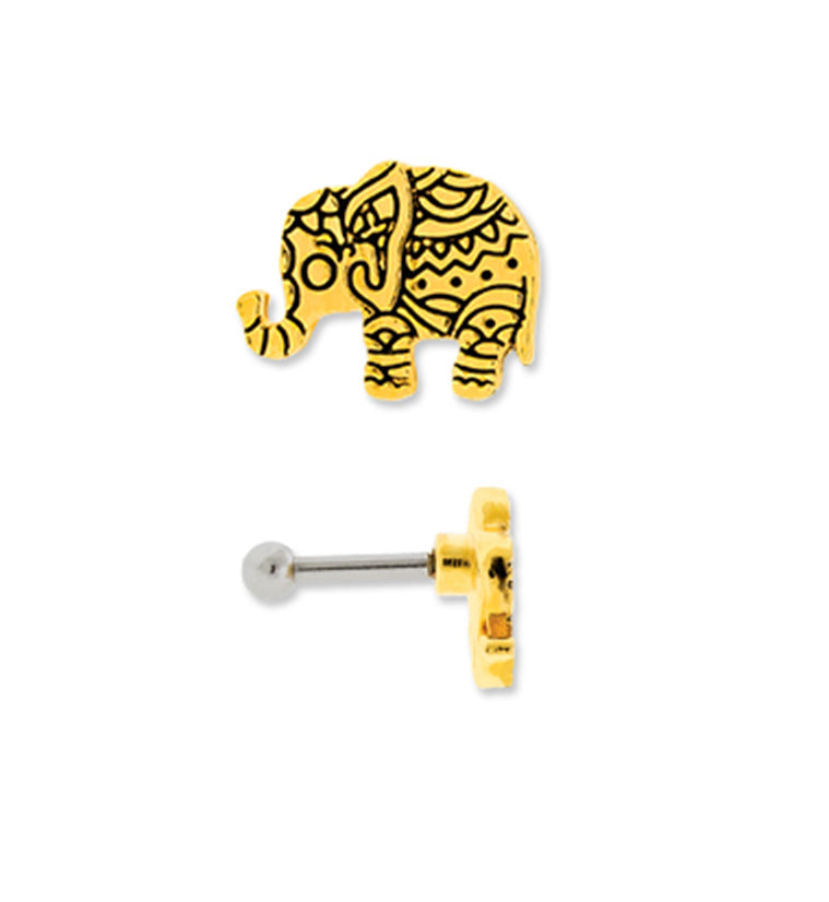 16G Gold PVD Bindi Elephant Tragus / Cartilage Barbell