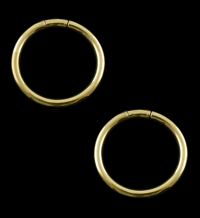 Golden PVD Hoop Ear Weights