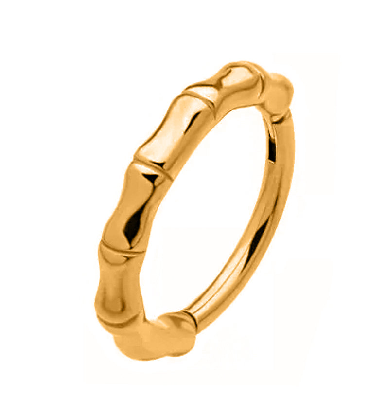 Gold PVD Bracket Stainless Steel Hinged Segment Ring