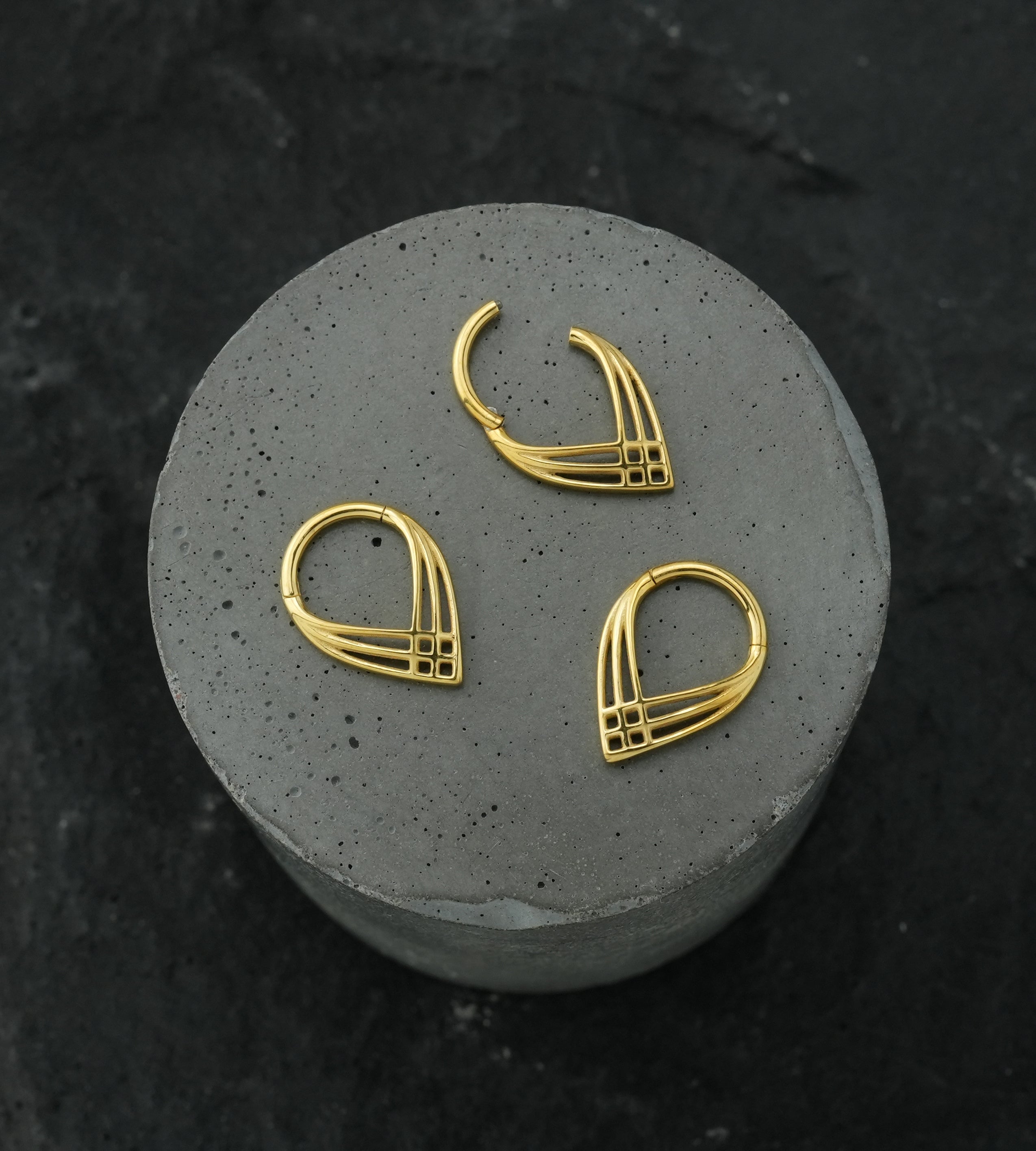 Gold PVD Crosshatch Point Stainless Steel Hinged Segment Ring