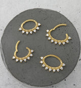 Gold PVD Ellipse CZ Hinged Segment Ring