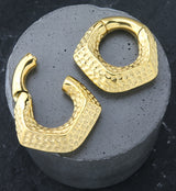 Gold PVD Hammered Point Hinged Ear Weights
