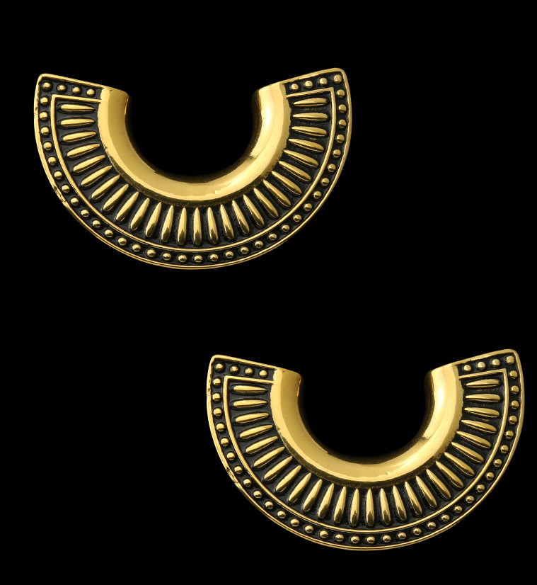 Gold PVD Insignia Ear Weights