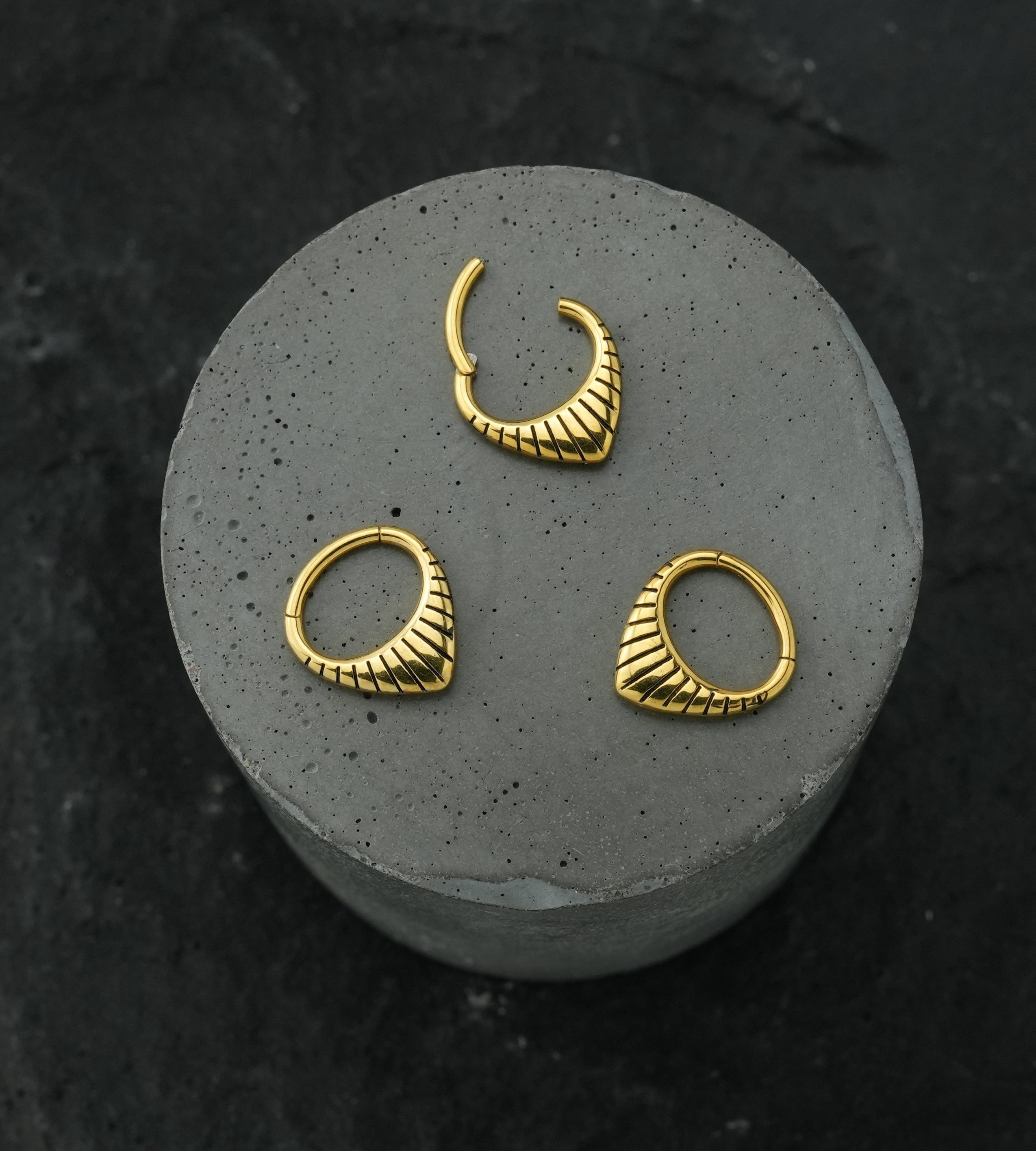 Gold PVD Point Ridge Stainless Steel Hinged Segment Ring