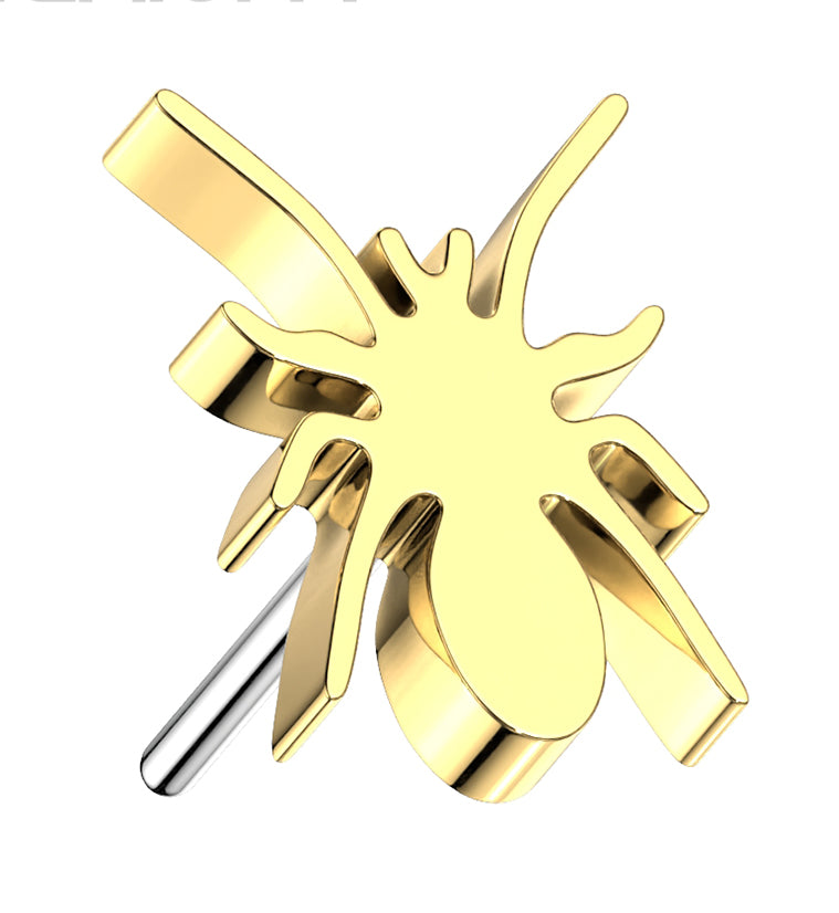 Gold PVD Spider Threadless Titanium Top