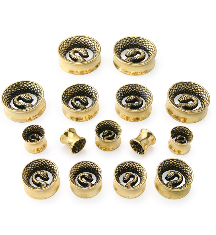 Gold PVD Snake Stainless Steel Tunnels
