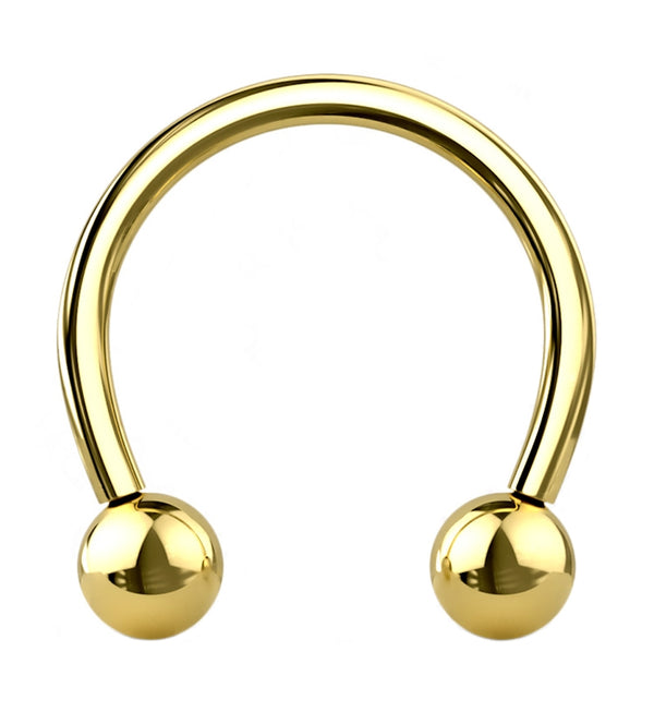 Gold PVD Titanium Circular Barbell