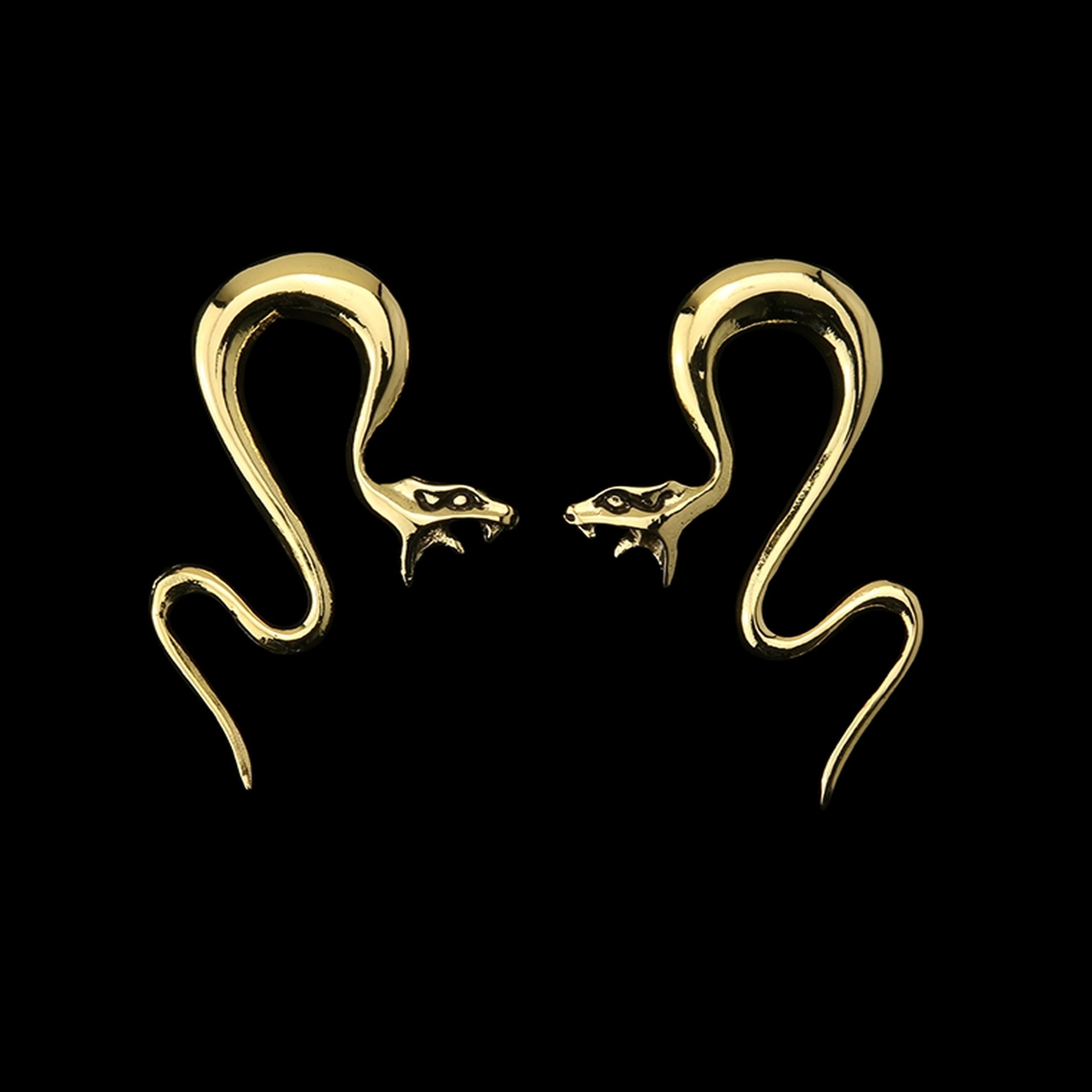 Silver Snake Brass Ear Weights