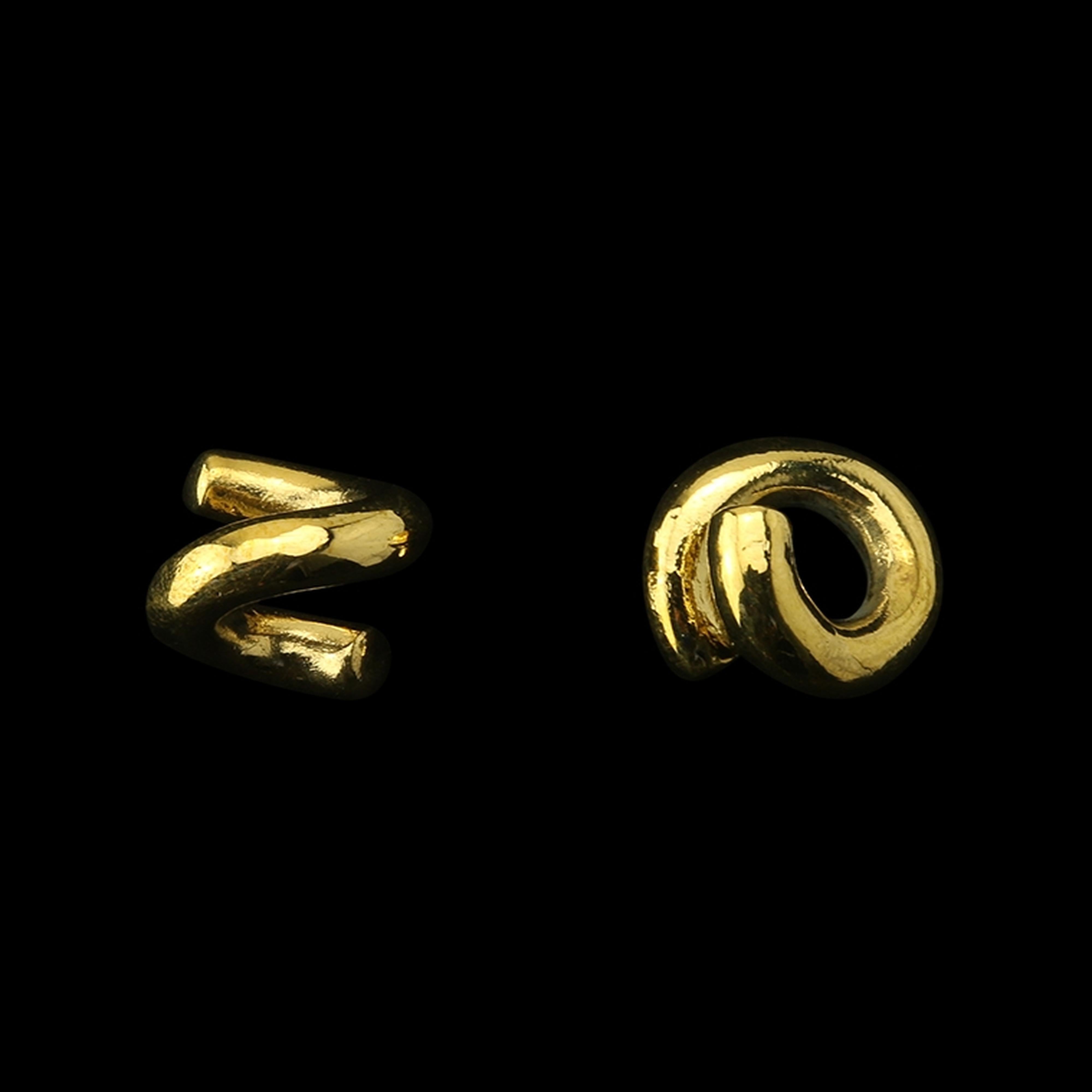Coil Brass Ear Weights