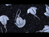 Cowrie Shell Sterling Silver Earrings