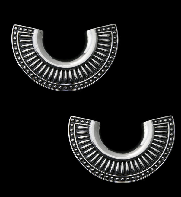 Insignia Ear Weights
