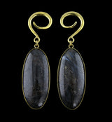 Ovoid Arfvedsonite Hanging Stone Ear Weights