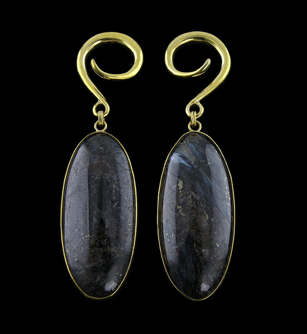 Ovoid Arfvedsonite Hanging Stone Ear Weights