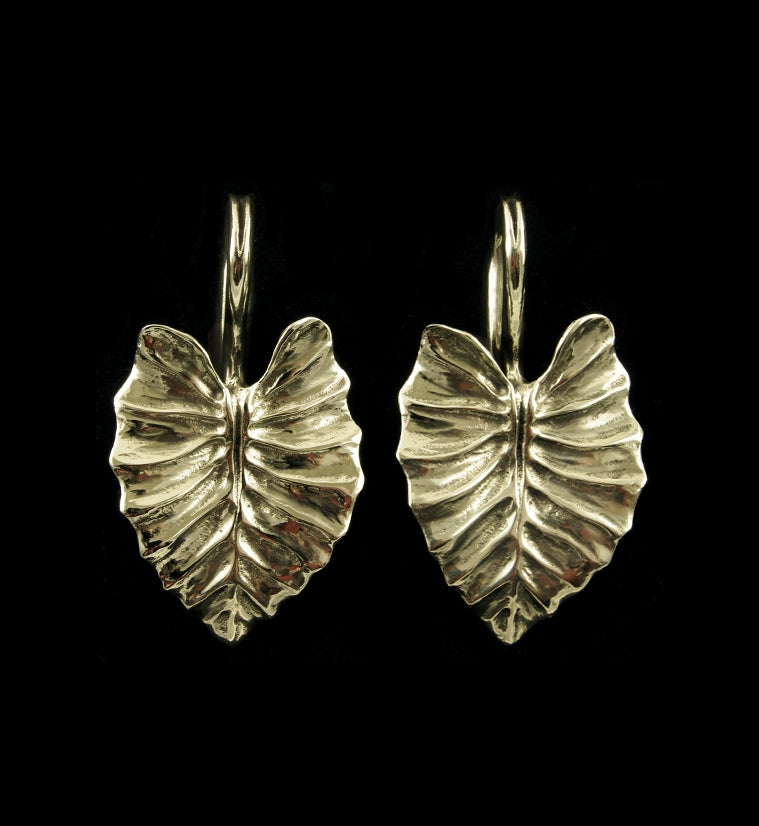 Beech Leaf Brass Ear Weights