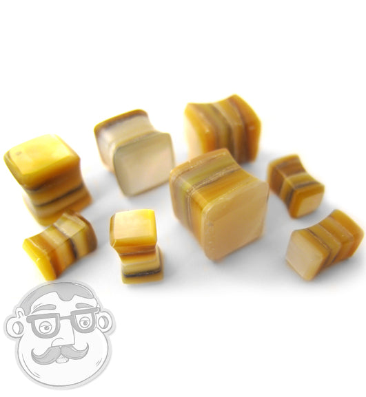 White Mother of Pearl Square Plugs
