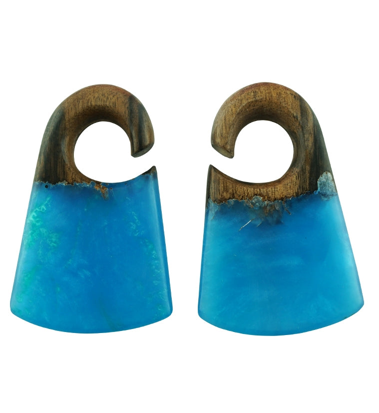 Ocean Resin Locket Areng Wood Ear Weights