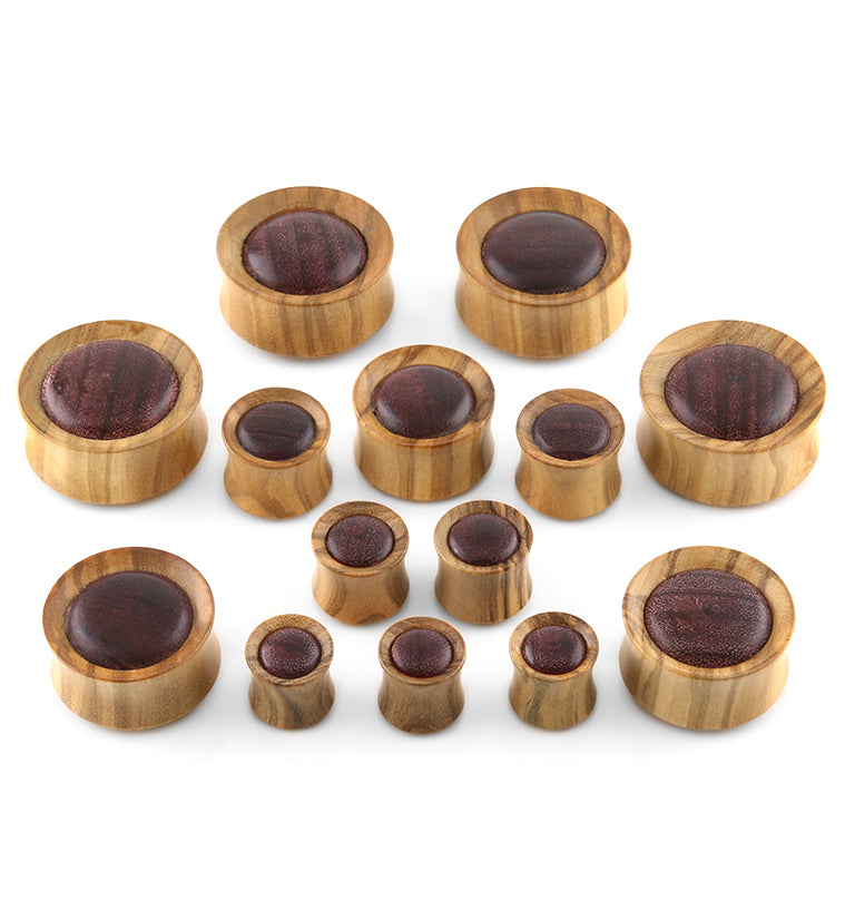 Olive Wood Concave Plugs With Purple Heart Inlay