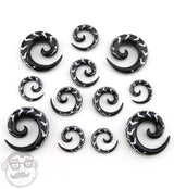 Black Horn Spirals Abalone Inlay