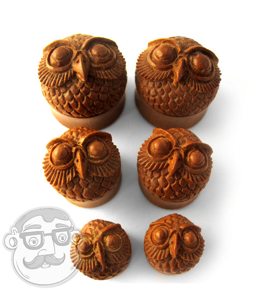 Owl Wood Plugs