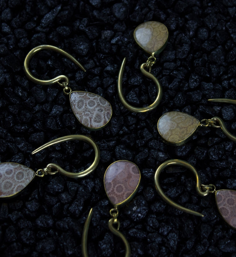 Ovum Fossilized Coral Brass Hangers