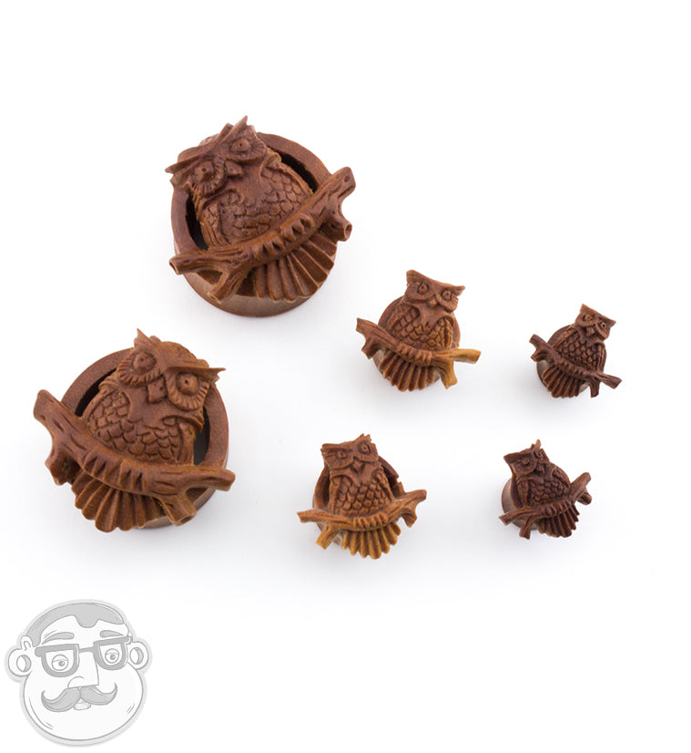 Owl Perch Carved Saba Wood Tunnels