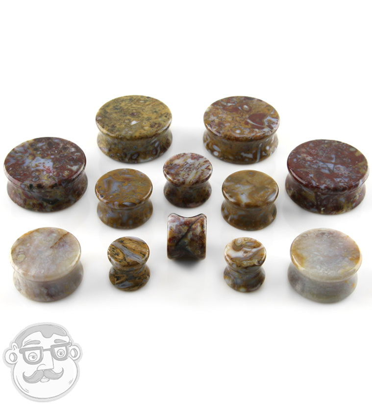 Petrified Palm Root Agate Plugs