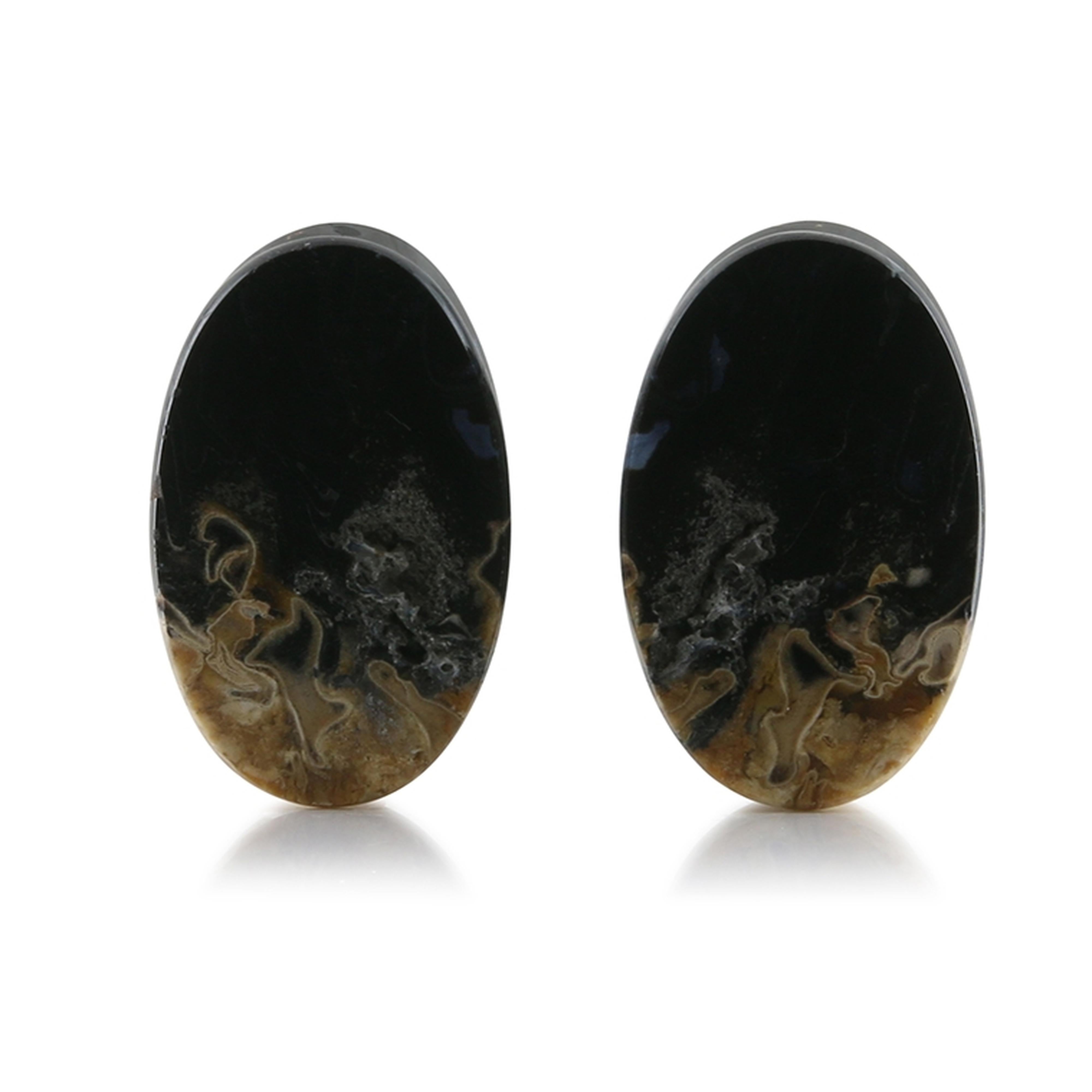 Petrified Palm Root Stone Oval Plugs (23.5mm)