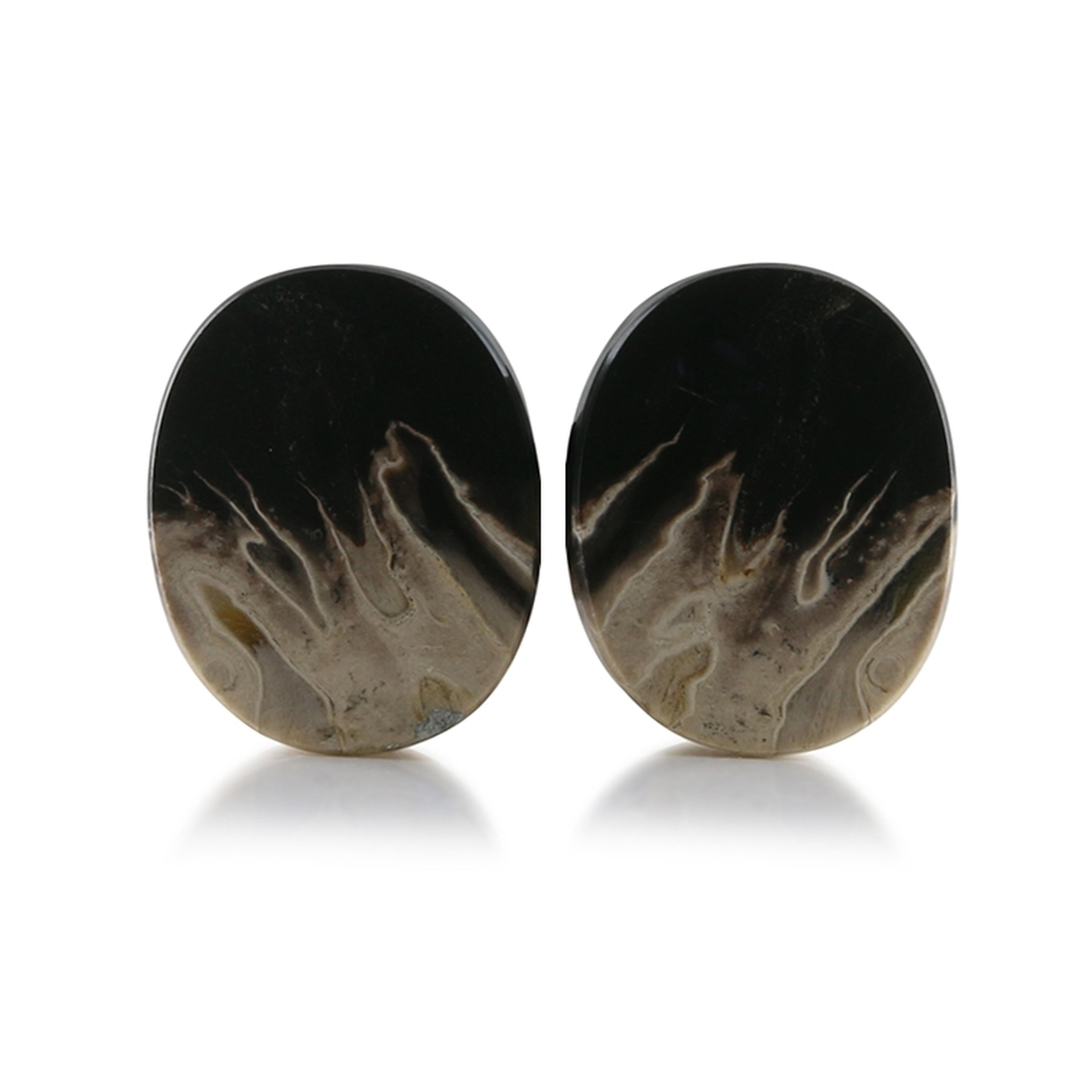Petrified Palm Root Stone Oval Plugs 7/8" (22.5mm)