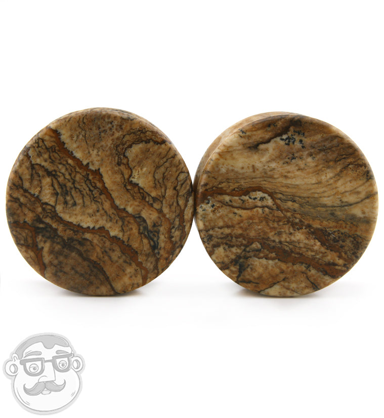 Picture Jasper Stone Plugs