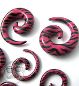 Pink Zebra Ear Spirals